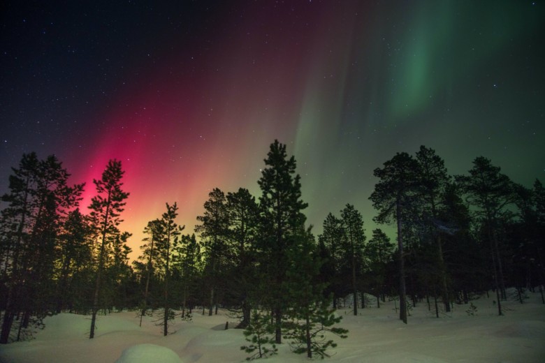 Northern lights and trees