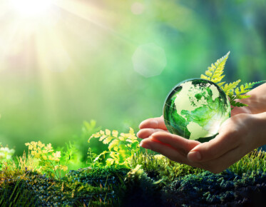 Hands Holding Globe Glass In Green Forest - Environment Concept - Element of image furnished by NASA