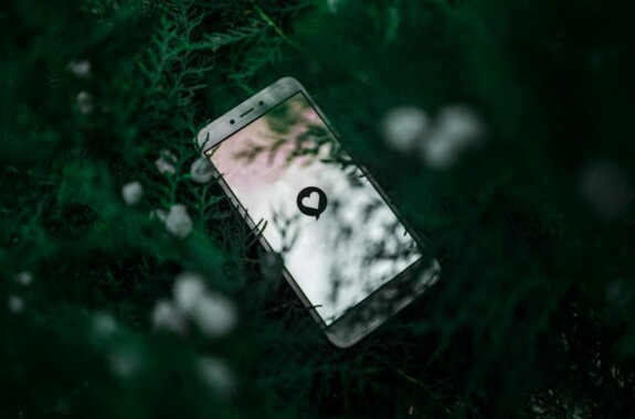 phone and leaves
