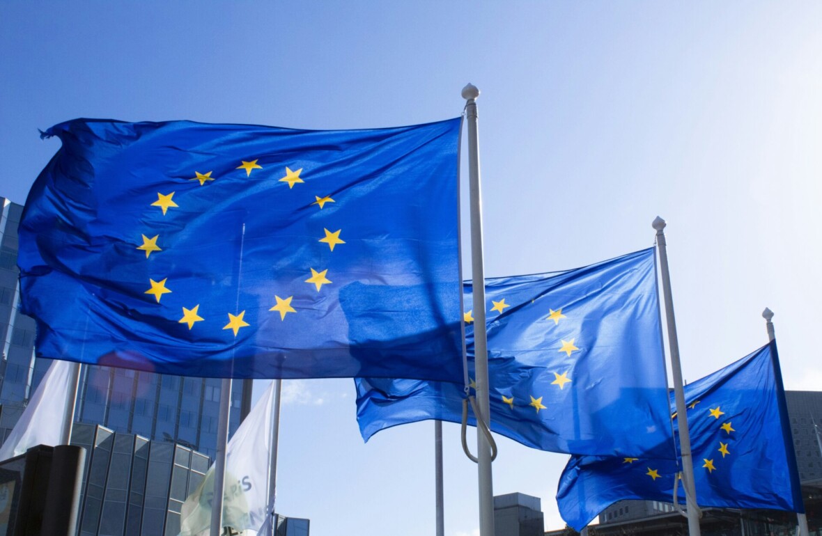 EU flags