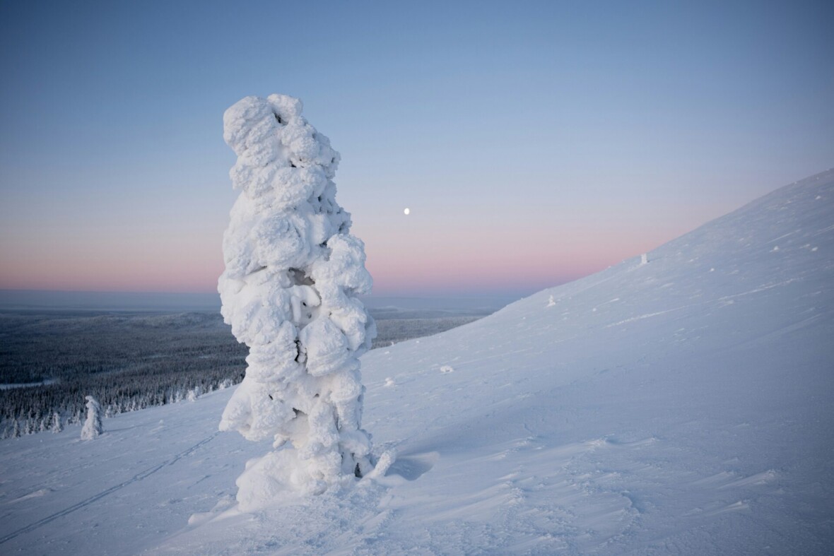 lapland